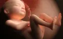 27 неделя беременности