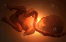 21 неделя беременности