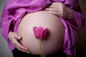 Какие цветы можно подарить беременной