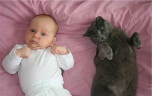Кошка и новорожденный ребенок