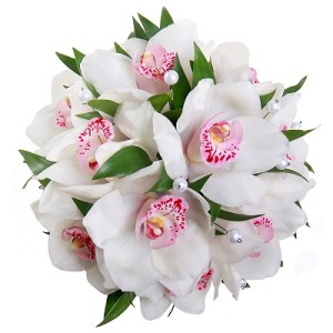 букет невесты из орхидей